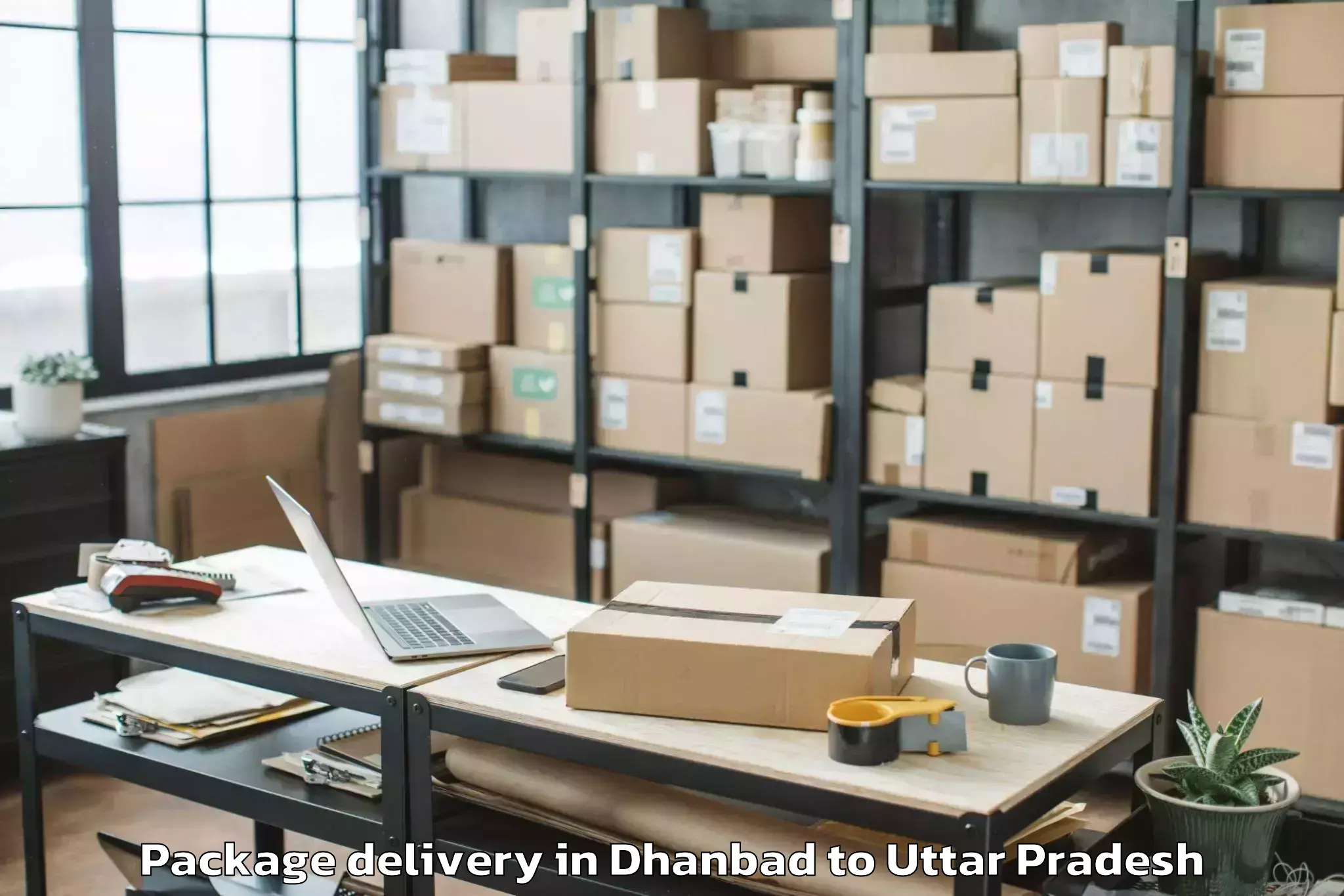 Professional Dhanbad to Belthara Road Package Delivery